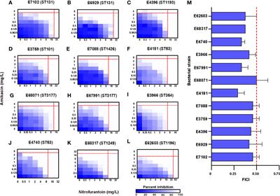 Nitrofurantoin Combined With Amikacin: A Promising Alternative Strategy for Combating MDR Uropathogenic Escherichia coli